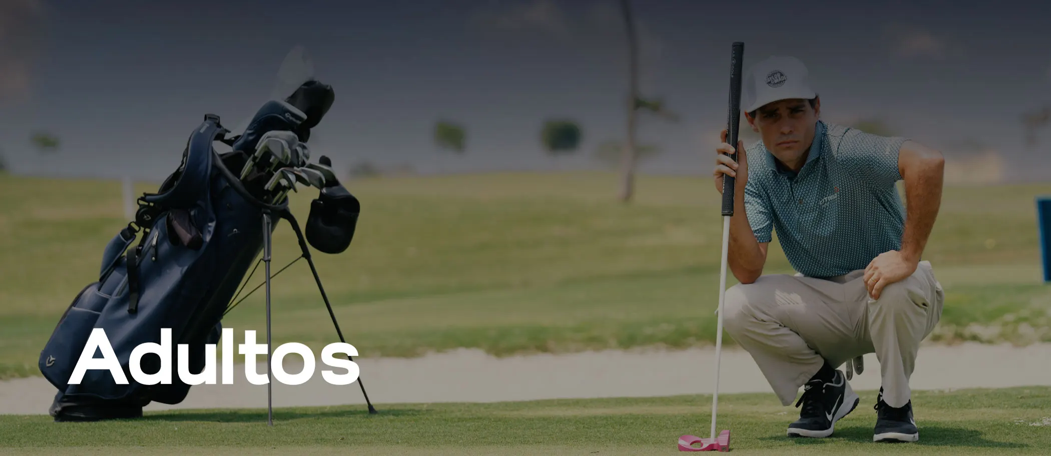 Royal academy adultos